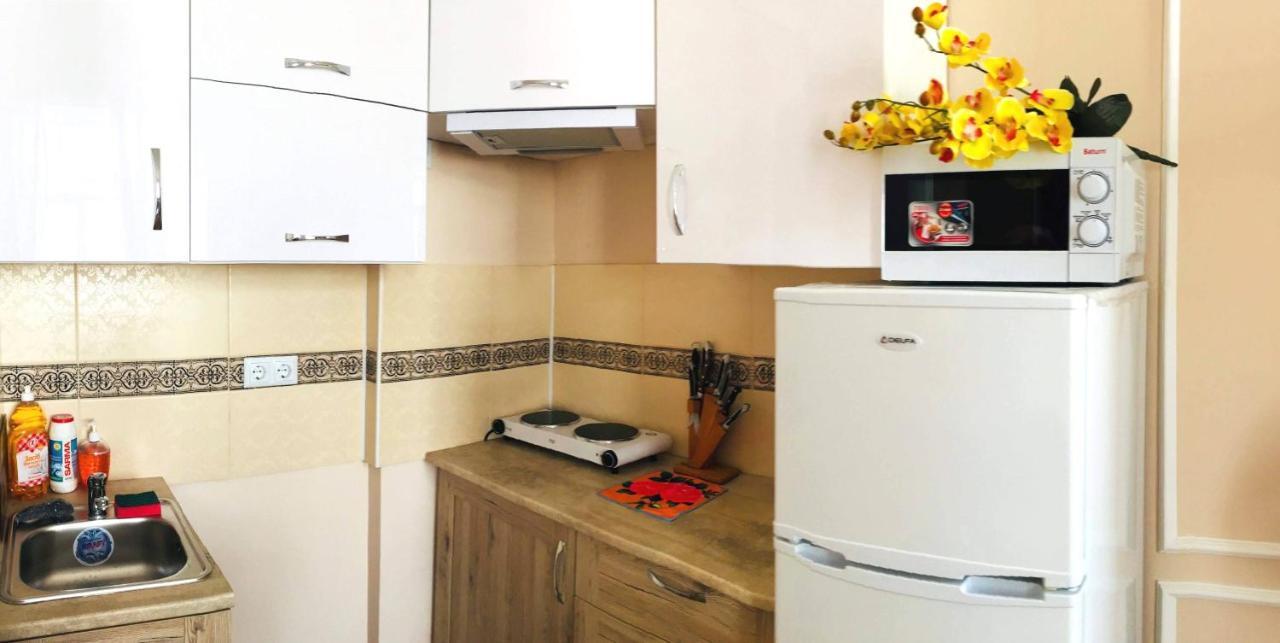 Apartment In The City Center Ivano-Frankivsk Esterno foto